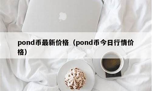 <strong>pnd币最新价格(pnd是什么币)</strong>