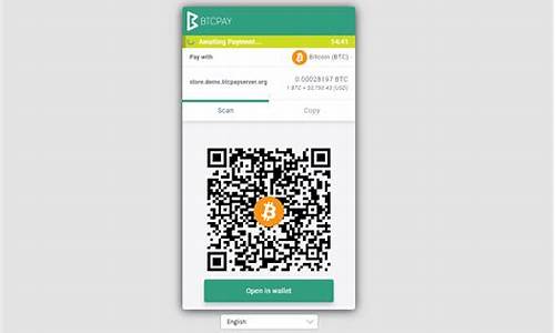 btcpay钱包(btc 钱包)