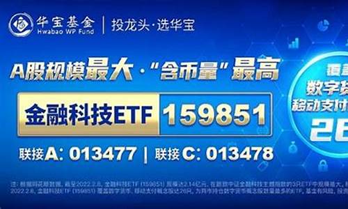 新晨科技数字货币真正龙头股(新晨科技区块链龙头)