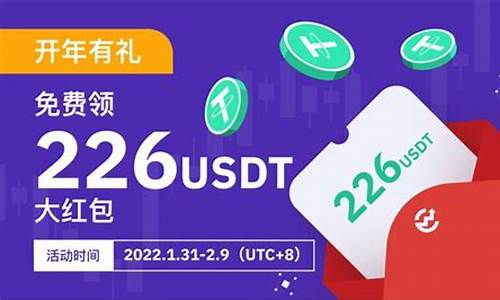 usdt用哪个钱包安全(usdt买哪个)