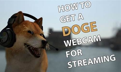 DOGE Web包下载及安卓版(doge.)(图1)